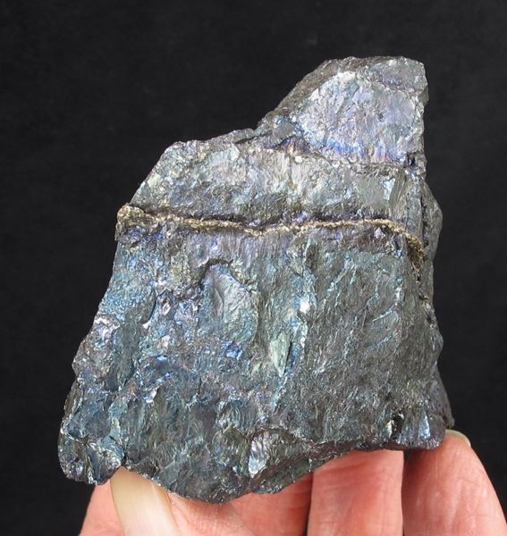 Silver vein in iridescent Bornite (rich ore) | San Martin Mine