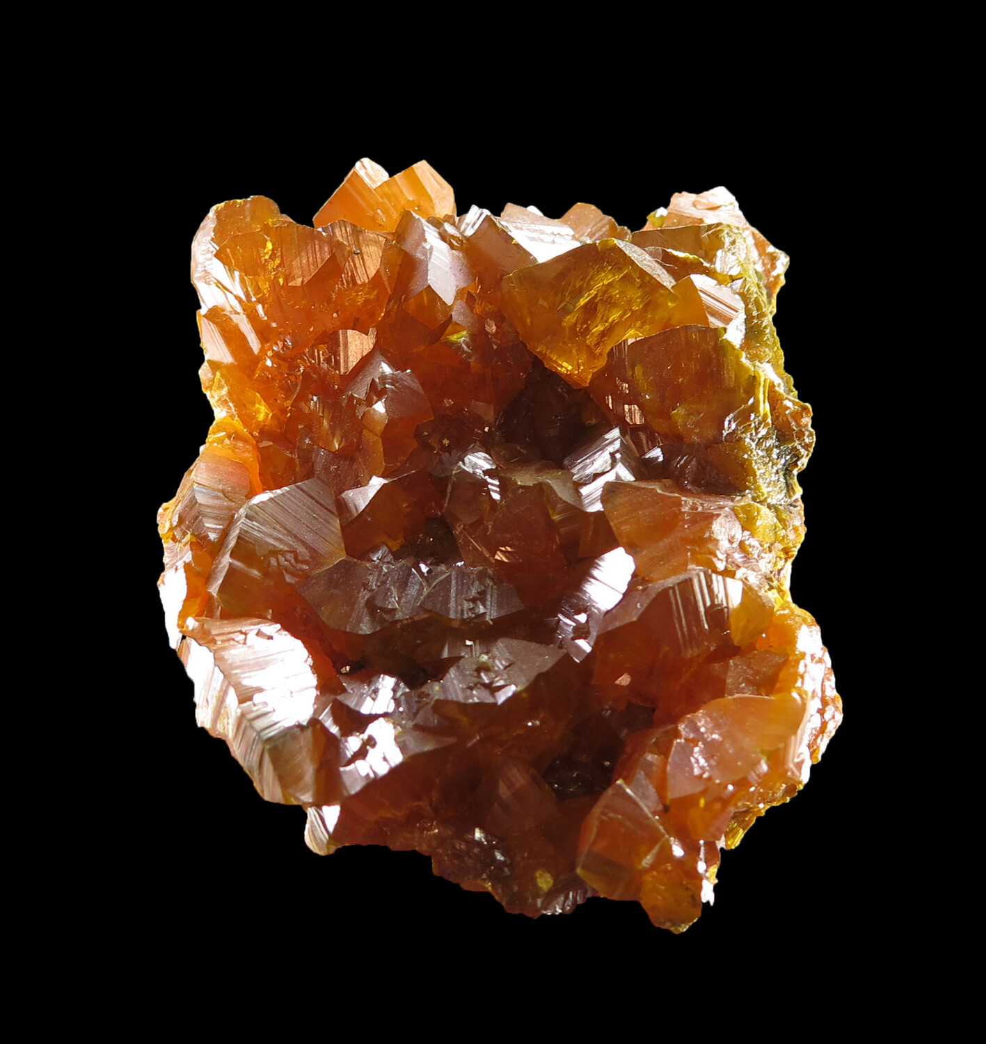 Orpiment (classic 1999 find) | Cut 62, Twin Creeks Mine, Humboldt Co ...